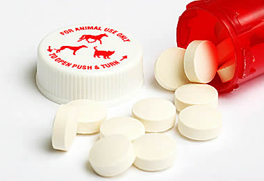 Photo of veterinary pharmaceuticals with link to more information.